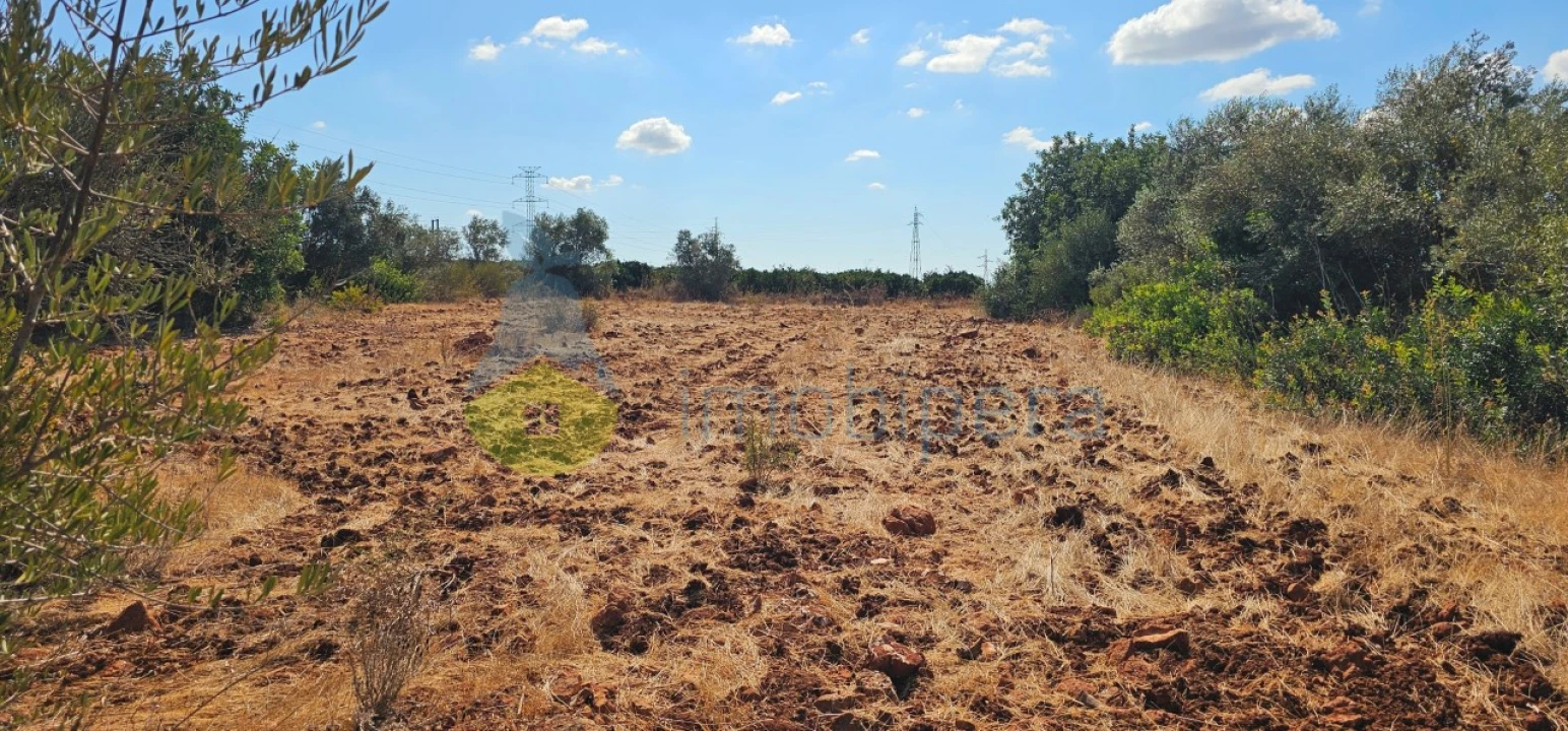 Terreno Agricola ou Rústico para Venda em São Bartolomeu de Messines Foto 18