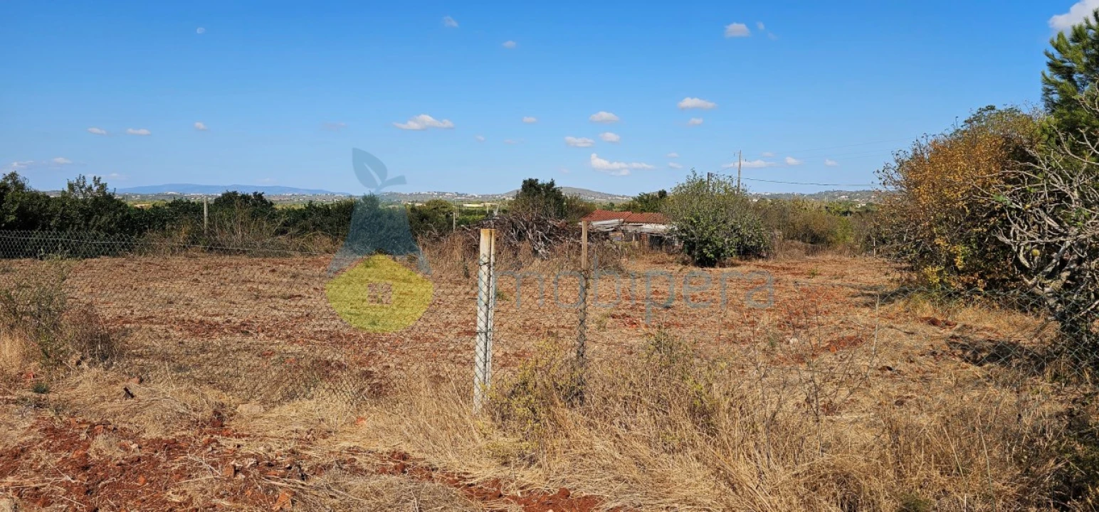 Terreno Agricola ou Rústico para Venda em São Bartolomeu de Messines Foto 20
