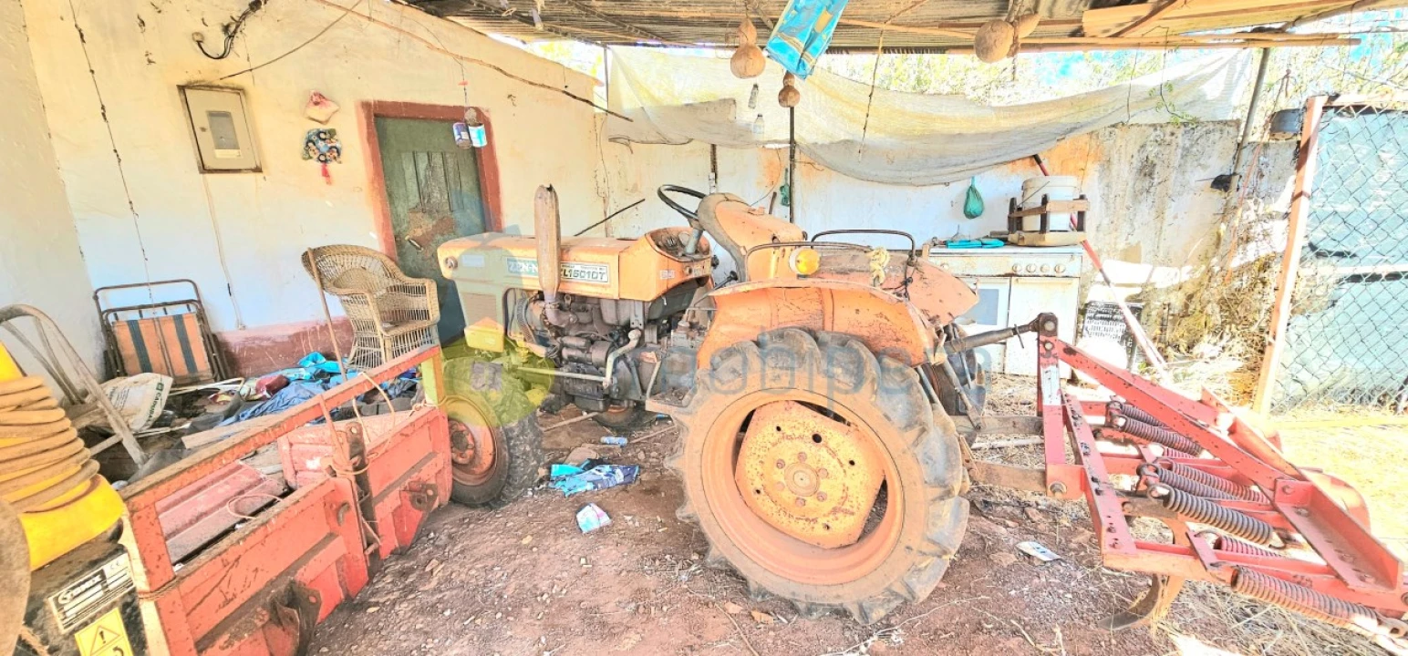 Terreno Agricola ou Rústico para Venda em São Bartolomeu de Messines Foto 6