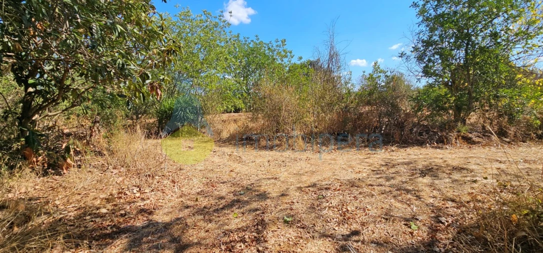 Terreno para Venda em São Bartolomeu de Messines Foto 11