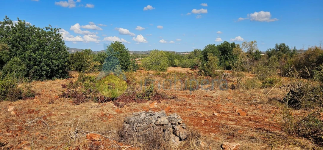 Terreno para Venda em São Bartolomeu de Messines Foto 16