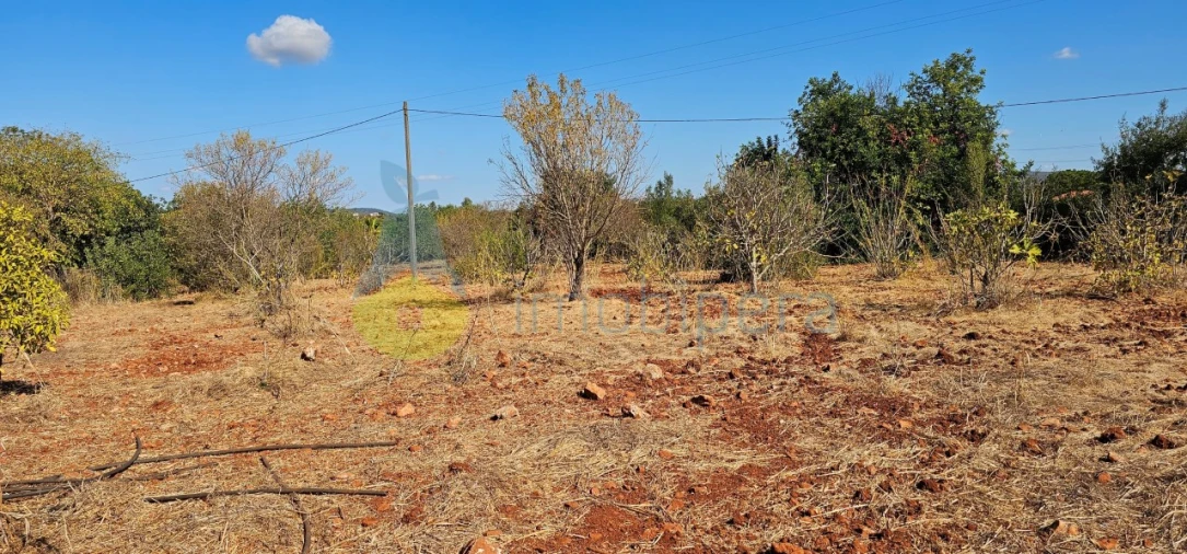 Terreno para Venda em São Bartolomeu de Messines Foto 19