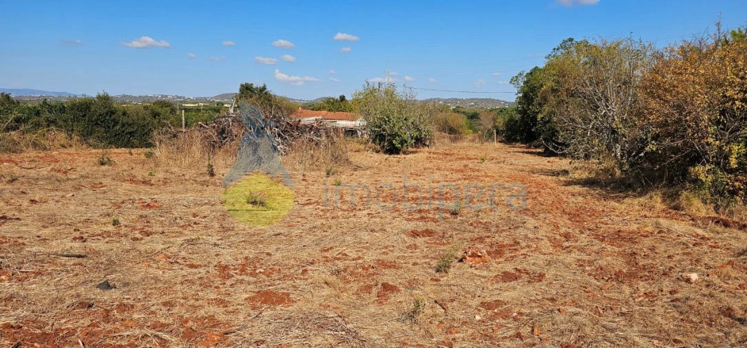 Terreno para Venda em São Bartolomeu de Messines Foto 21
