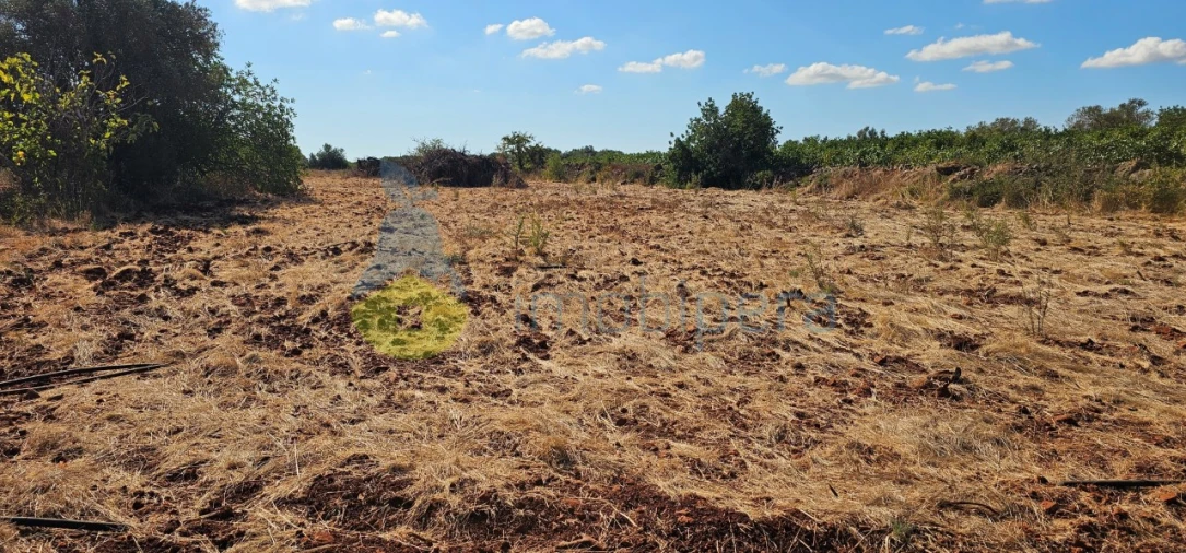 Terreno para Venda em São Bartolomeu de Messines Foto 23
