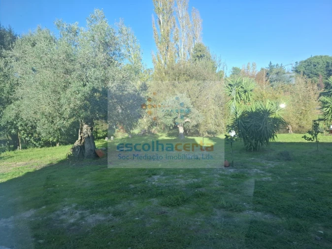 Quinta T3 para Venda em Quinta do Anjo Foto 2