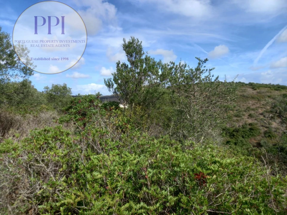 Terreno para Venda em Budens Foto 21