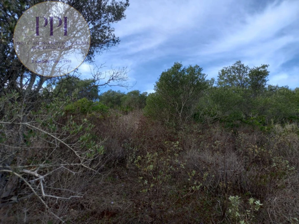 Terreno para Venda em Budens Foto 29
