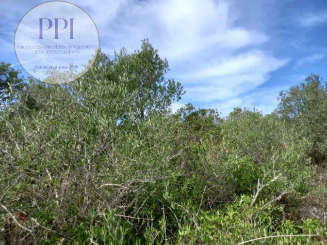 Terreno para Venda em Budens Foto 18