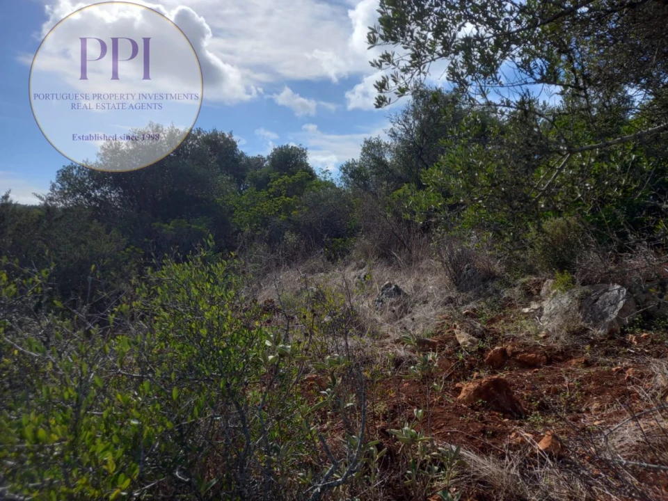 Terreno para Venda em Budens Foto 33