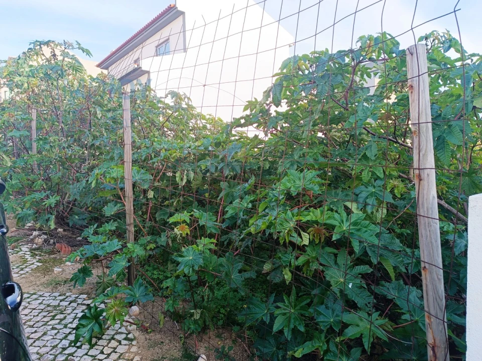 Terreno para Venda em Carcavelos e Parede Foto 12