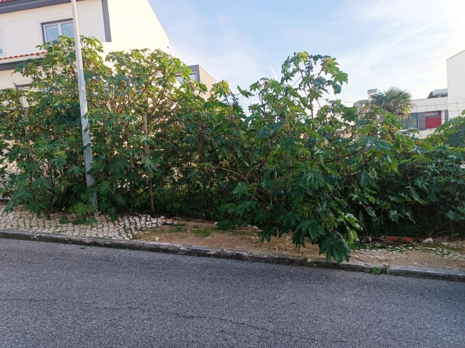 Terreno para Venda em Carcavelos e Parede Foto 14
