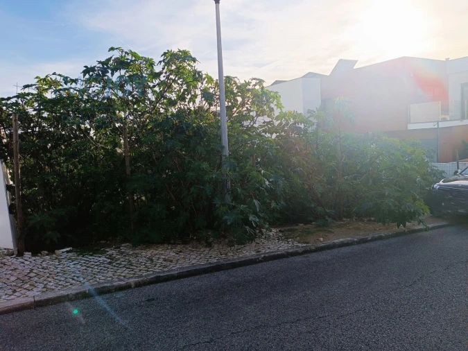 Terreno para Venda em Carcavelos e Parede Foto 19
