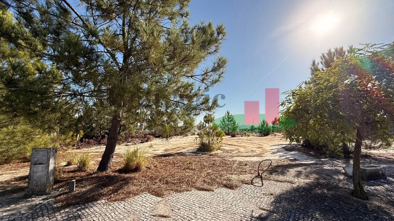 Terreno para Venda em Rio Maior Foto 10