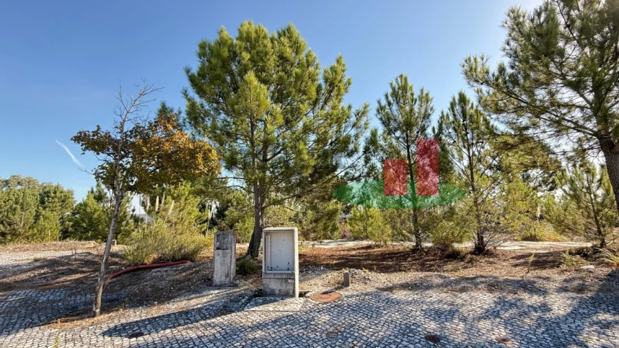 Terreno para Venda em Rio Maior Foto 6