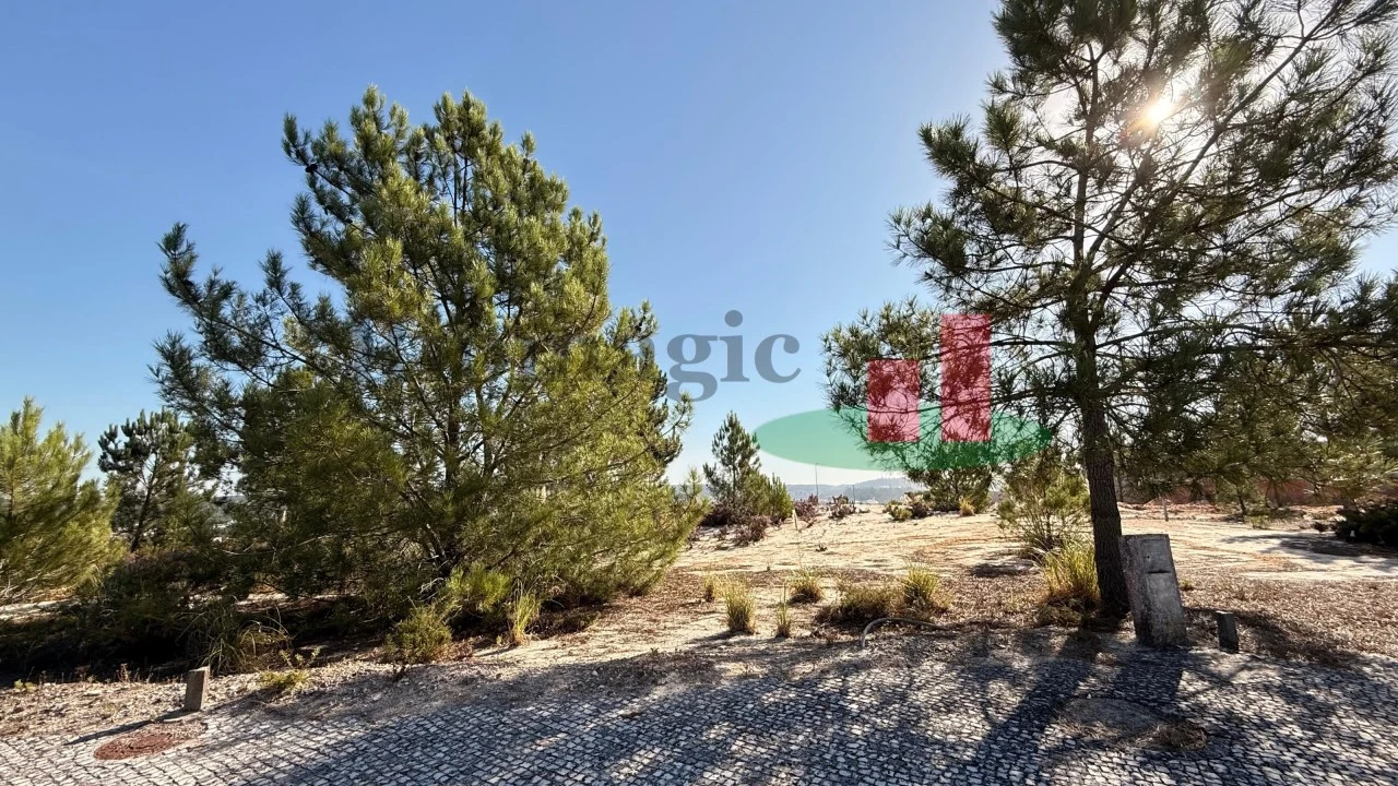 Terreno para Venda em Rio Maior Foto 12