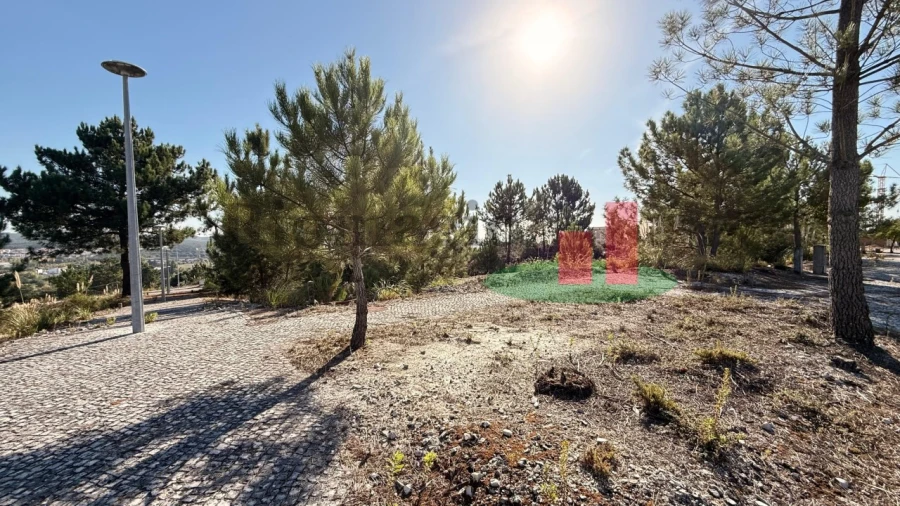Terreno para Venda em Rio Maior Foto 3