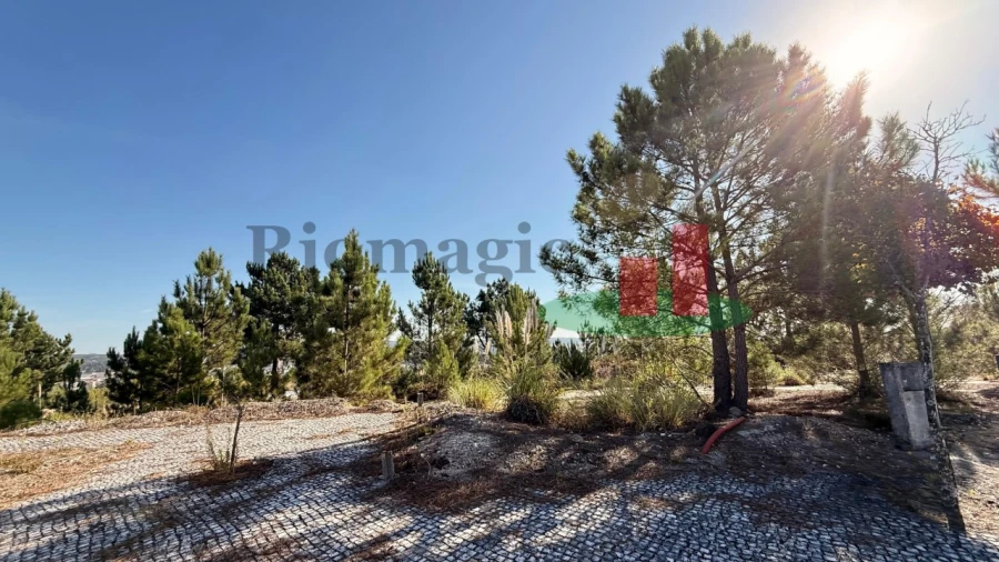 Terreno para Venda em Rio Maior Foto 5