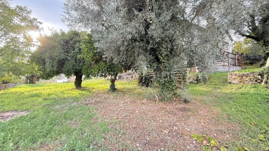 Moradia T3 para Venda em Rebordões (Santa Maria) Foto 14