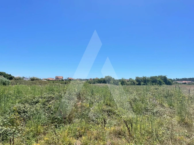 Terreno para Venda em Cacia Foto 1