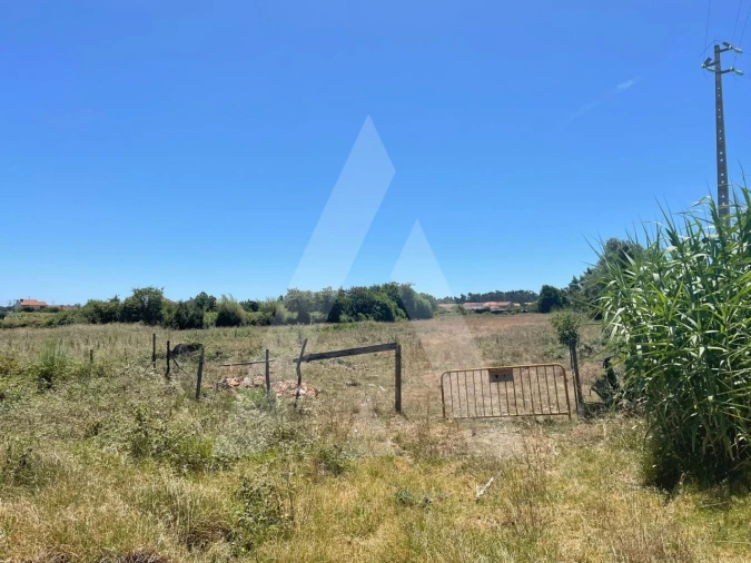 Terreno para Venda em Cacia Foto 2