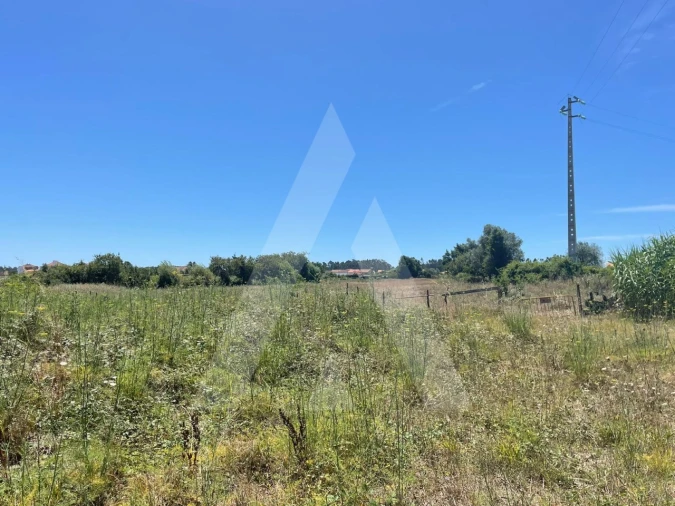 Terreno para Venda em Cacia Foto 5