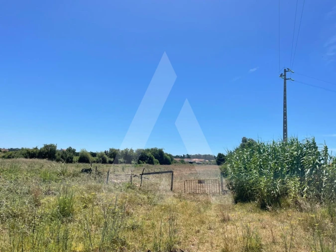 Terreno para Venda em Cacia Foto 6