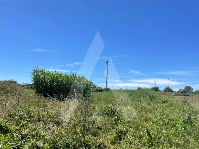 Terreno para Venda em Cacia Foto 7