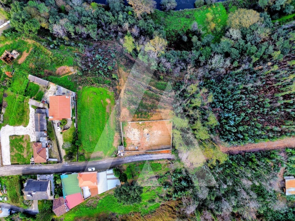 Terreno para Venda em Macinhata do Vouga Foto 6