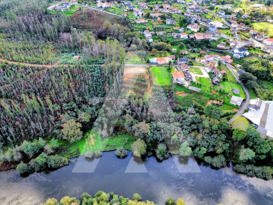 Terreno para Venda em Macinhata do Vouga Foto 11