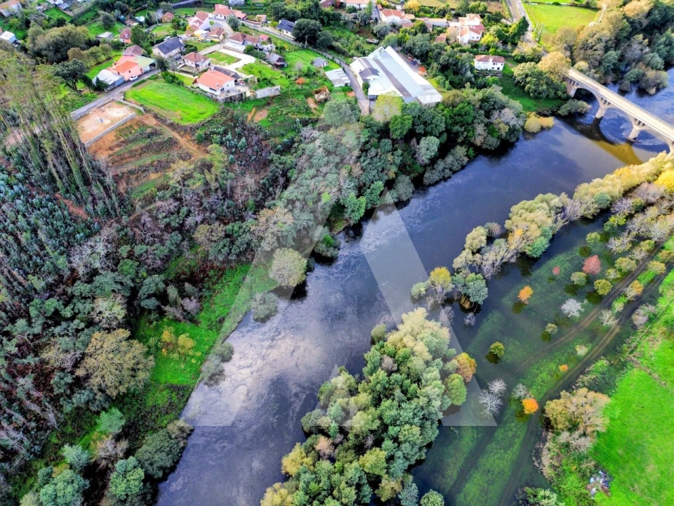 Terreno para Venda em Macinhata do Vouga Foto 13