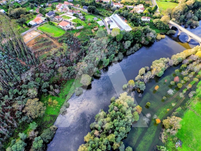 Terreno para Venda em Macinhata do Vouga Foto 13