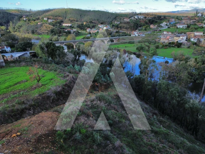 Terreno para Venda em Macinhata do Vouga Foto 10