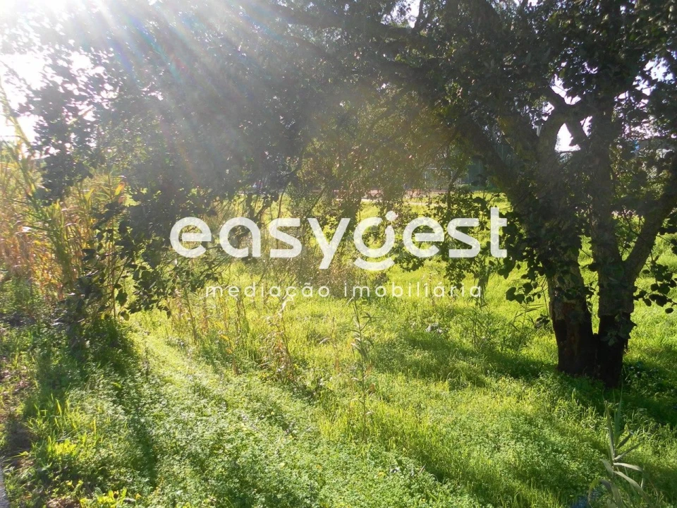 Terreno para Venda em Nossa Sra de Fatima Foto 2