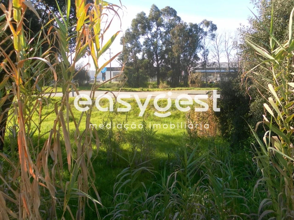 Terreno para Venda em Nossa Sra de Fatima Foto 3