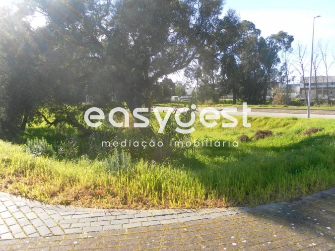 Terreno para Venda em Nossa Sra de Fatima Foto 5