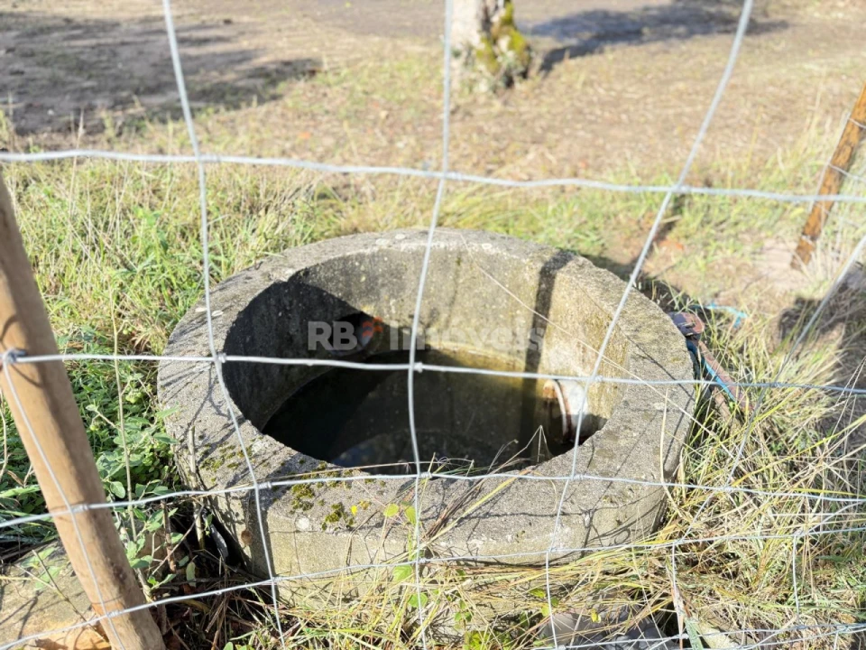 Terreno Agricola ou Rústico para Venda em Alvega e Concavada Foto 6