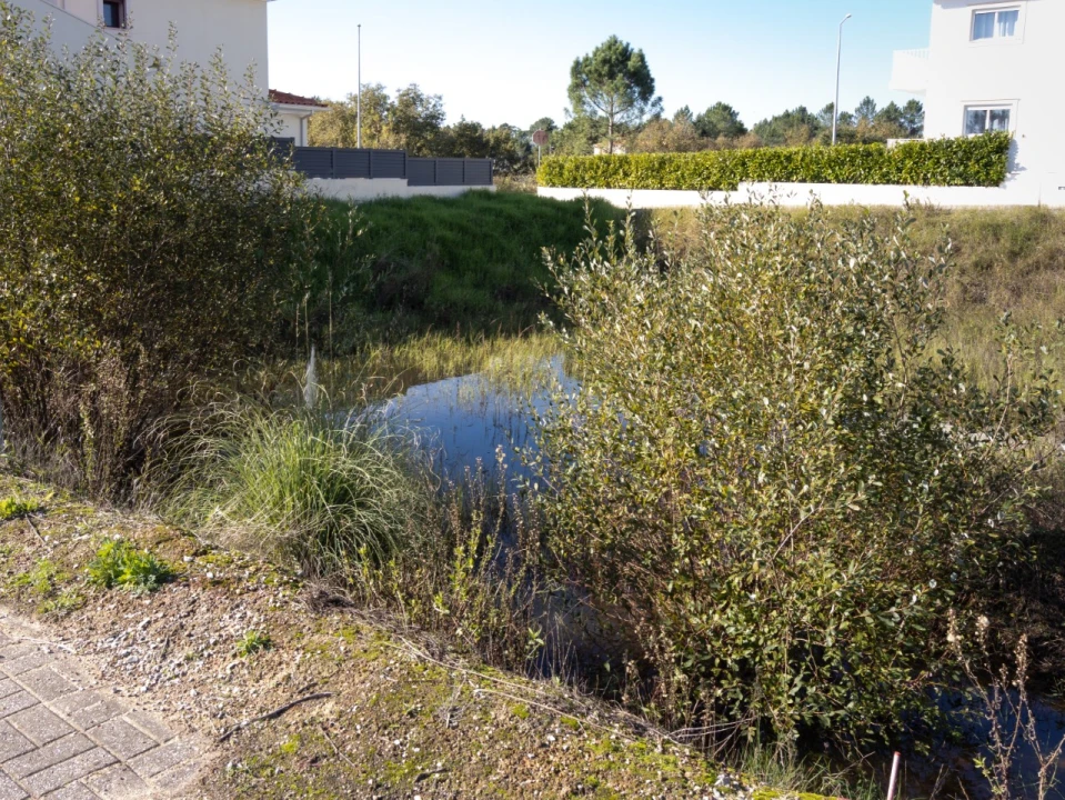 Terreno para Venda em Ançã Foto 3