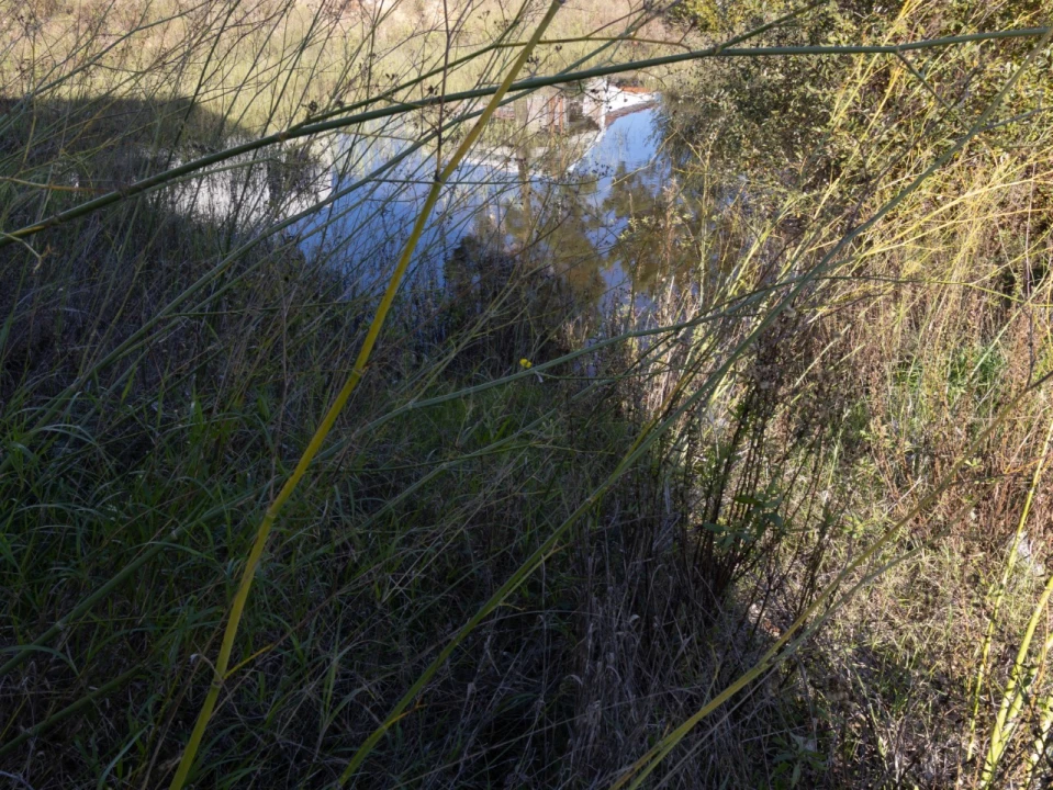 Terreno para Venda em Ançã Foto 5