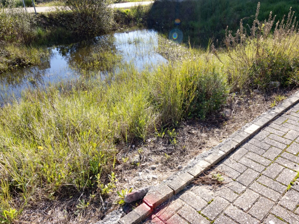 Terreno para Venda em Ançã Foto 6