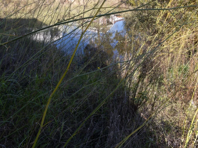 Terreno para Venda em Ançã Foto 5