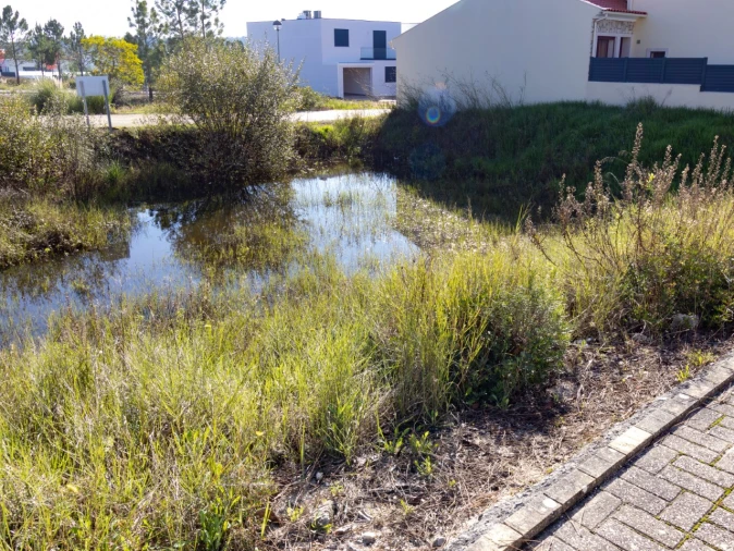 Terreno para Venda em Ançã Foto 8