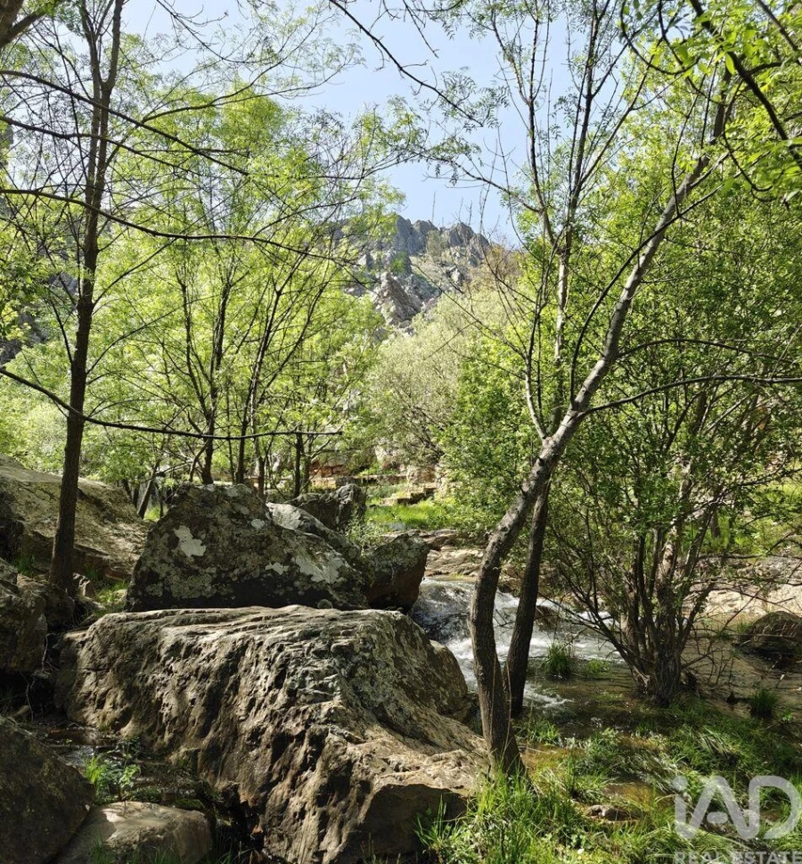 Prédio para Arrendamento em Penha Garcia Foto 14