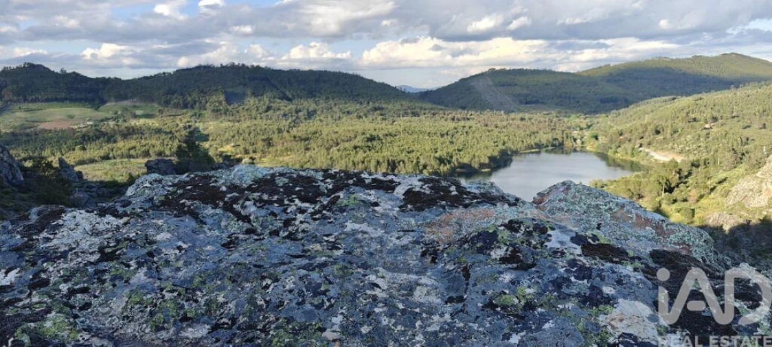 Prédio para Arrendamento em Penha Garcia Foto 12