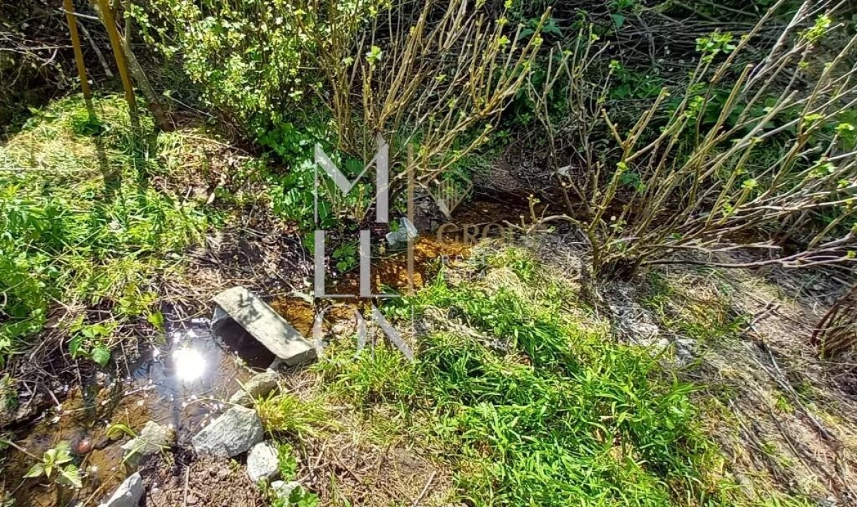 Quinta T1 para Venda em Rapa e Cadafaz Foto 25