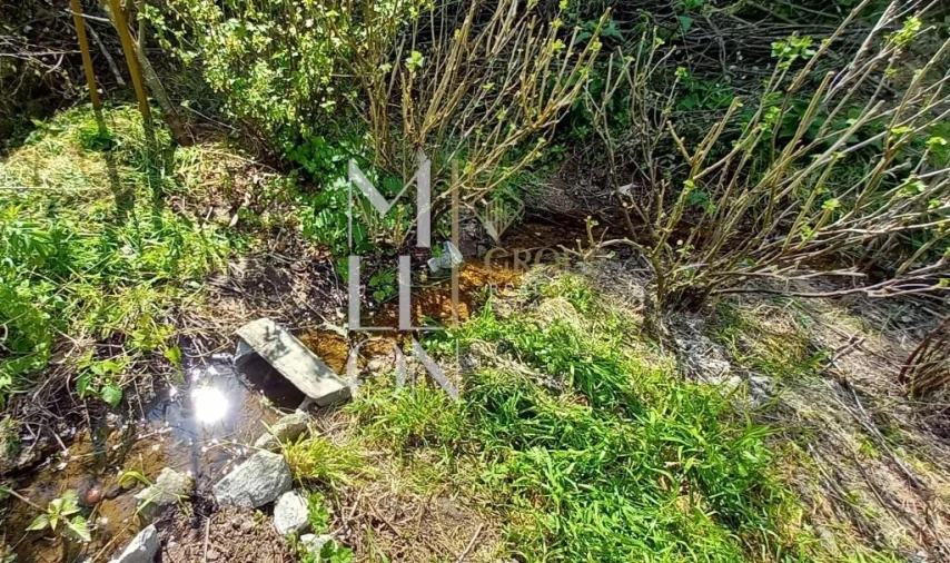 Quinta T1 para Venda em Rapa e Cadafaz Foto 25