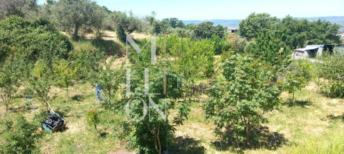 Quinta T1 para Venda em Rapa e Cadafaz Foto 20