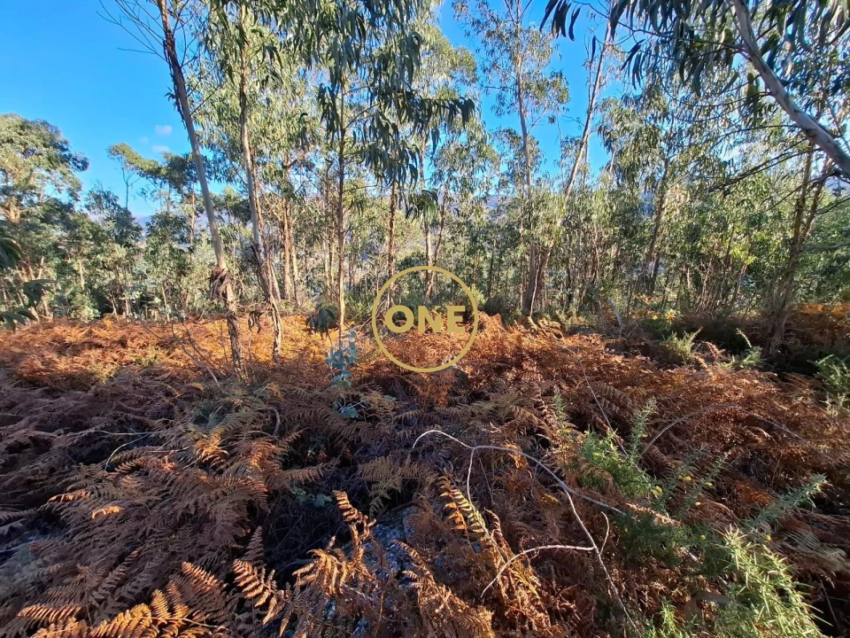 Terreno para Venda em Vade Foto 2