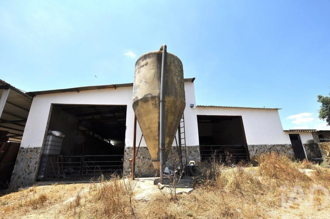 Quinta T5 para Venda em Ourique Foto 28