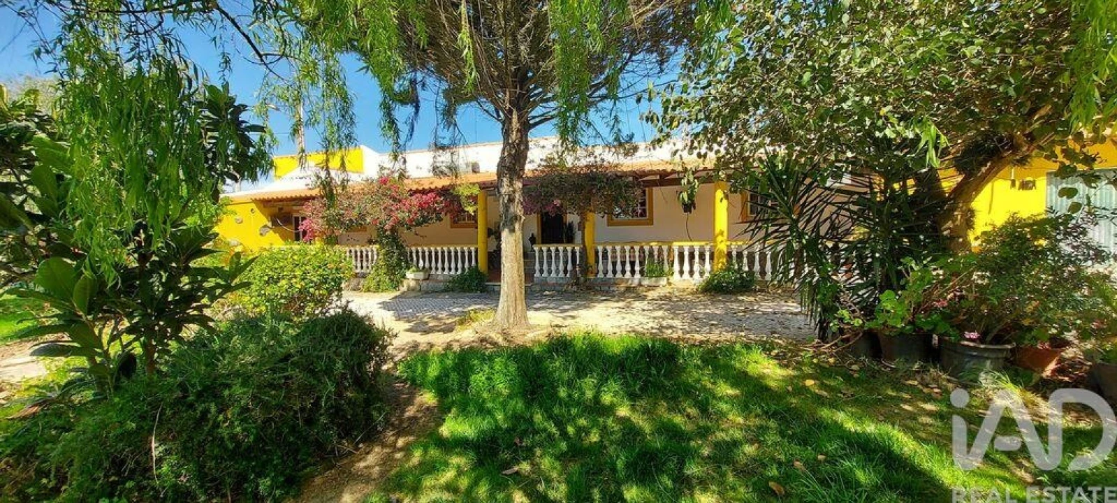 Quinta T5 para Venda em Ourique Foto 6