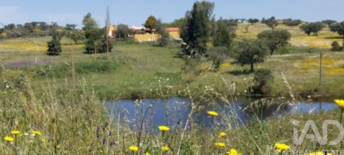 Quinta T5 para Venda em Ourique Foto 38